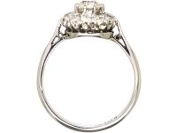 Early 20th Century 18ct White Gold & Platinum, Old Mine Cut Diamond Daisy Cluster Ring
