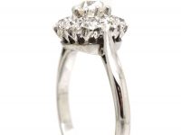 Early 20th Century 18ct White Gold & Platinum, Old Mine Cut Diamond Daisy Cluster Ring
