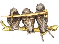 Edwardian Novelty Brooch of Three Diamond Set Birds on a Branch in The Original Case