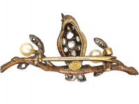Edwardian 18ct Two Colour Gold & Silver Novelty Brooch of a Bird on a Branch With Two Mistletoe Sprigs in Original Case