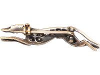 Edwardian Greyhound Brooch set with Graduated Diamonds