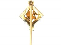 Early 20th Century 14ct Gold & Natural Split Pearl Tie Pin of a Moose Head