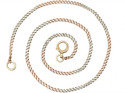 Edwardian 9ct Two Colour Gold Chain