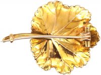 Victorian 15ct Three Colour Gold Nasturtium Leaf Brooch in Original Case
