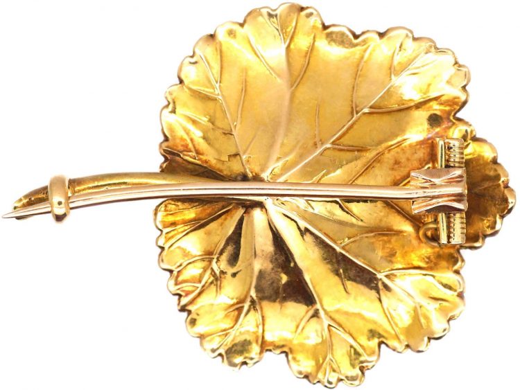 Victorian 15ct Three Colour Gold Nasturtium Leaf Brooch in Original Case