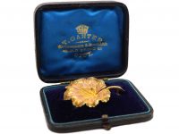 Victorian 15ct Three Colour Gold Nasturtium Leaf Brooch in Original Case