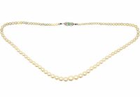 Early 20th Century Graduated Cultured Pearl Necklace with an 18ct White Gold, Emerald & Diamond Clasp