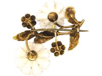 Georgian Two Colour 15ct Gold, White Coral & Turquoise Botanical Brooch