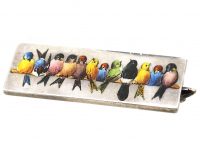 Victorian Silver & Enamel Novelty Brooch of Birds