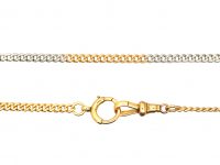 Edwardian 18ct Gold & Platinum Two Colour Chain