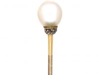 Edwardian Tie Pin set with a Natural Pearl & Rose Diamonds in Original Case
