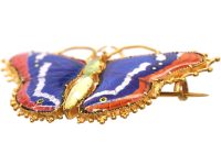 Regency 15ct Gold & Enamel Butterfly set with Chrysoprase & a Natural Split Pearl