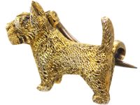 Edwardian Silver Gilt Cairn Terrier Brooch