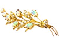Edwardian 9ct Gold Spray Brooch set with Opals, Natural Split Pearls & a Ruby