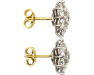 18ct White Gold Diamond Cluster Earrings