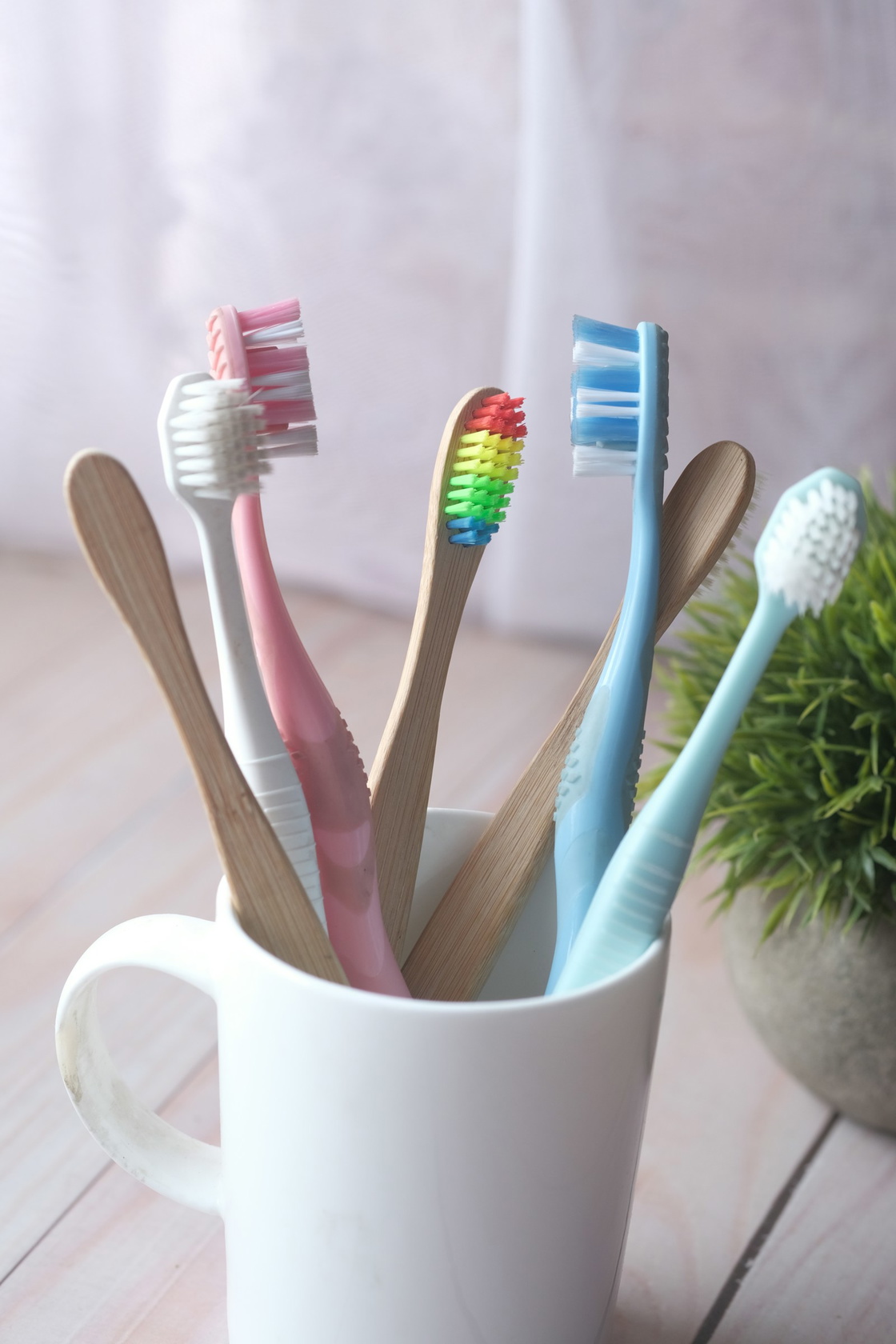 Soft toothbrushes in a cup